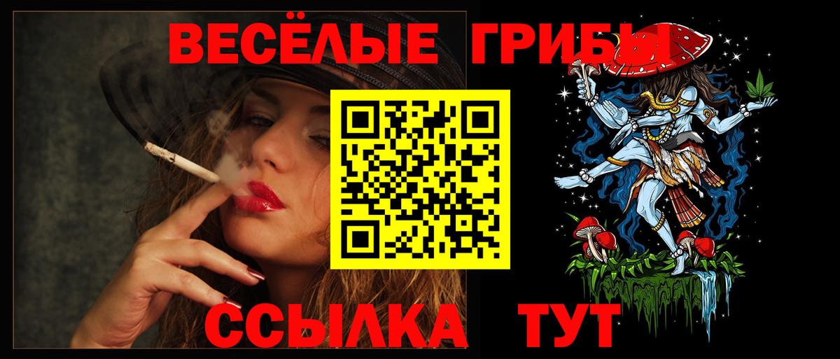 Галлюциногенные грибы прущие грибы Мичуринск