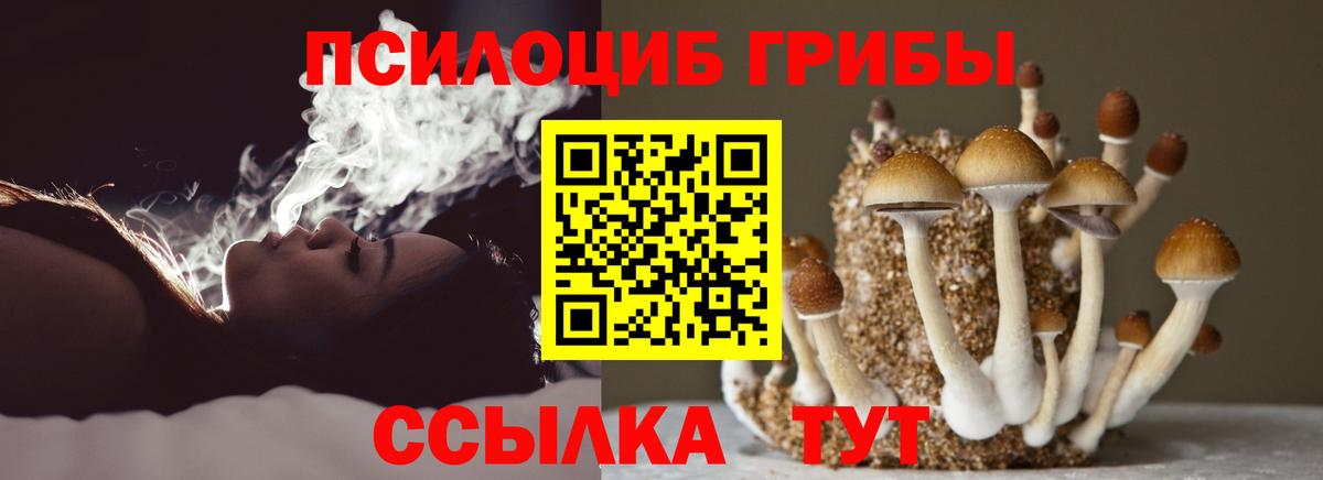 Мичуринск  Галлюциногенные грибы MAGIC MUSHROOMS  Вход с VPN 